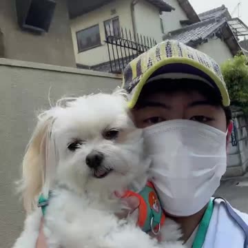 take a walk with hug