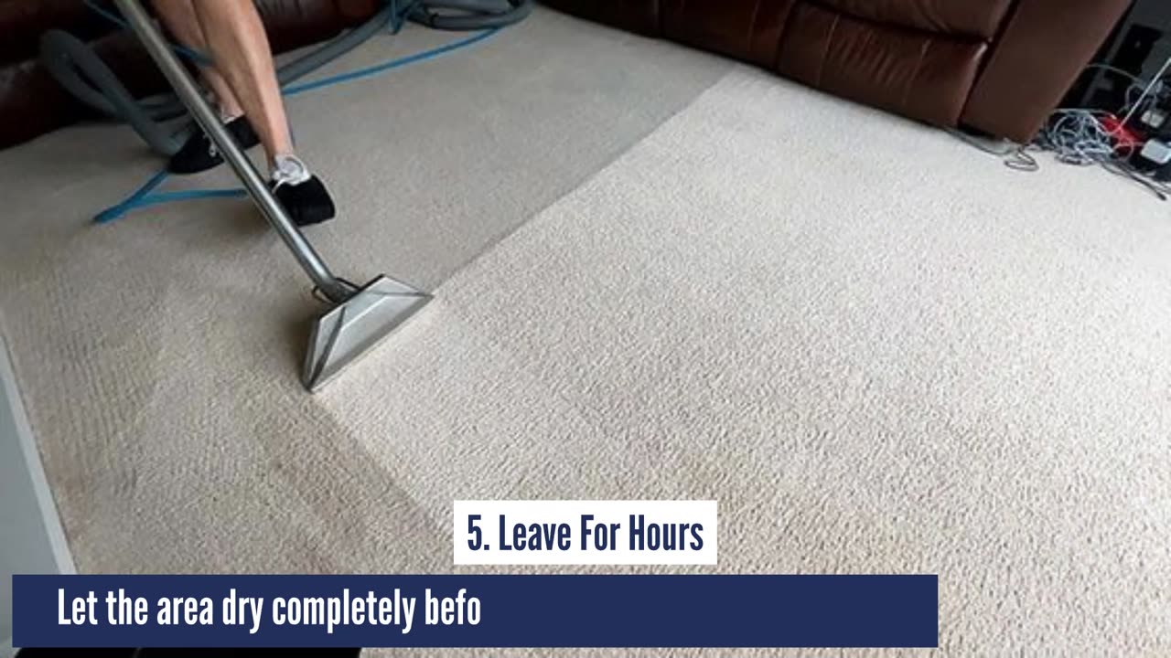 Professional Cleaning Service For Carpets