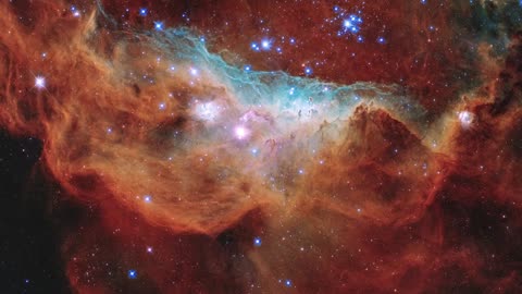 Cosmic Cradles Unveiled: Hubble's Starbirth Nebulae