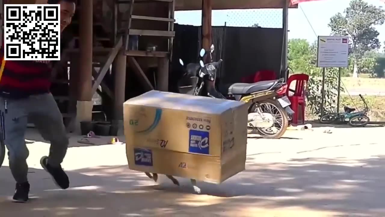 Troll Prank Dog Funny & fake Lion and Fake Tiger Prank To do