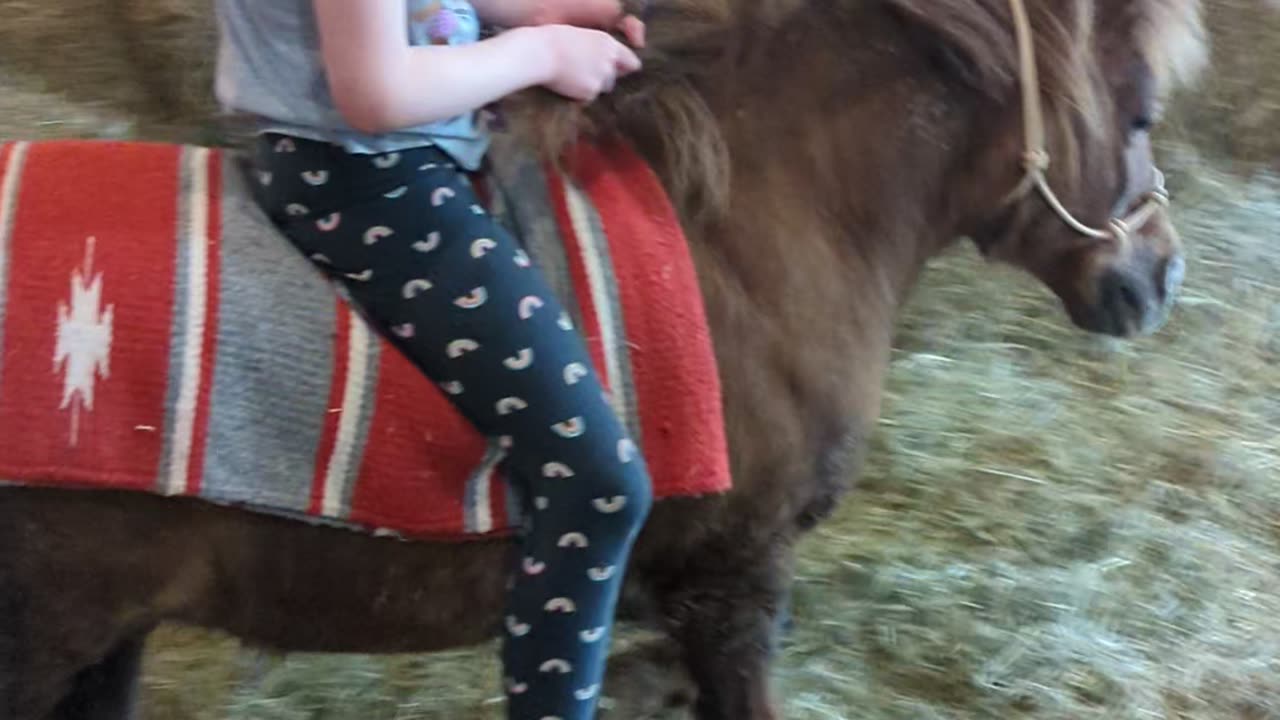 Lily riding pony.