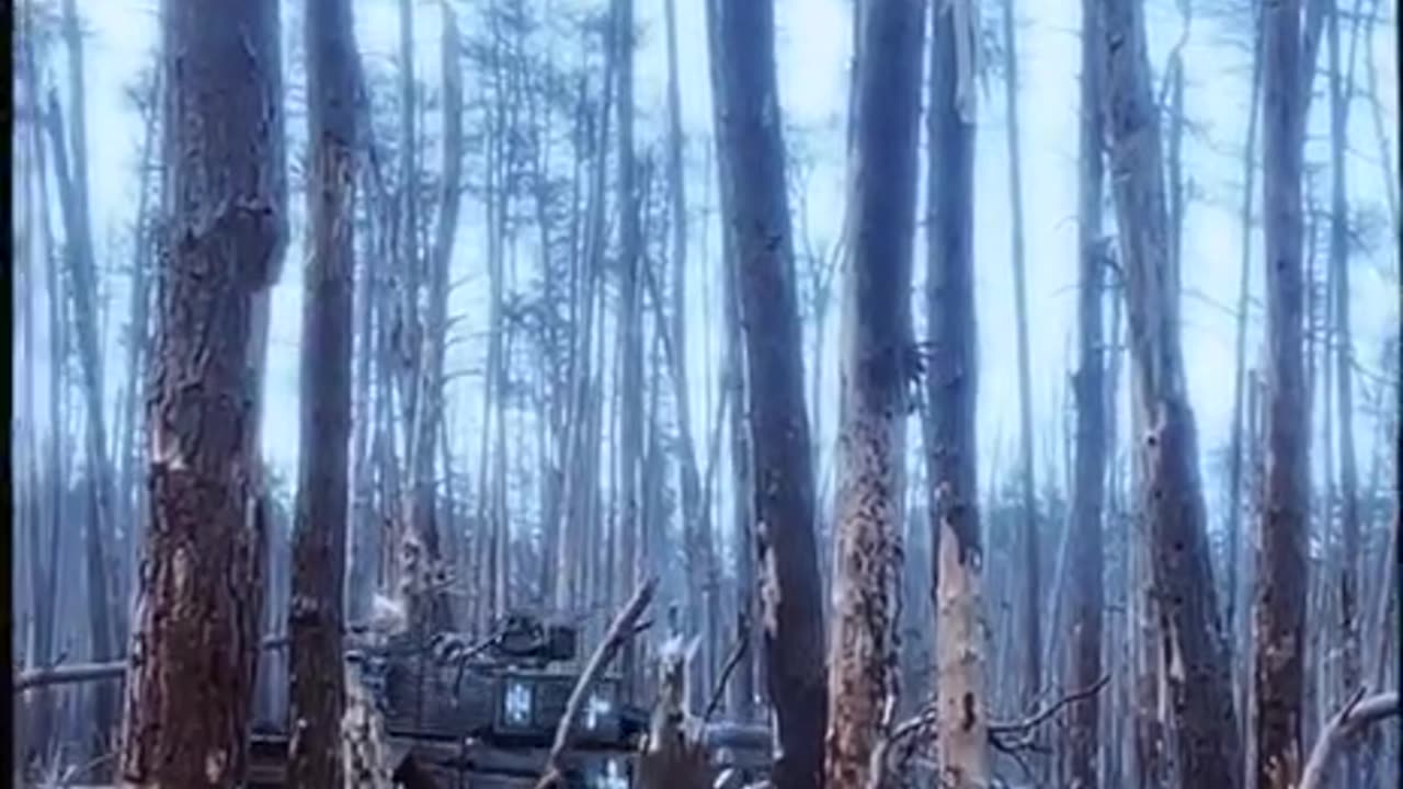 Ukrainian Tank Blasting Through the Serebryanskaya Forest with All Guns Blazing