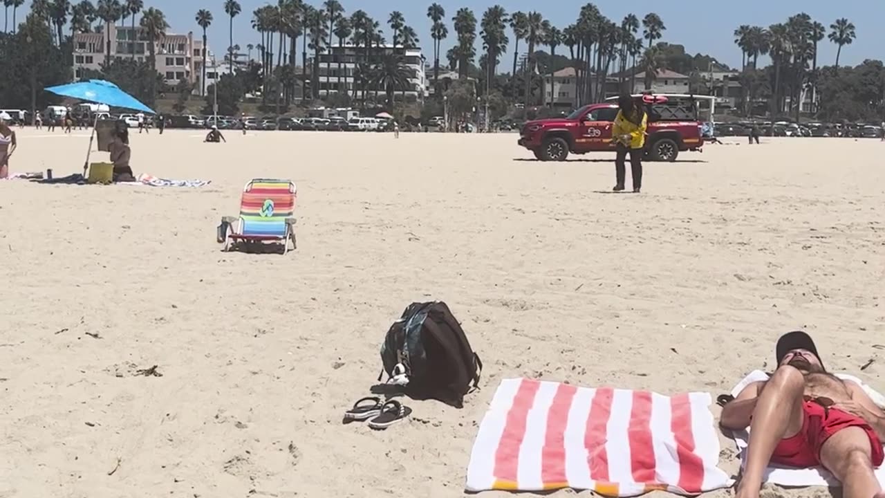 Bee Colony Relocates to Beachgoer's Chair