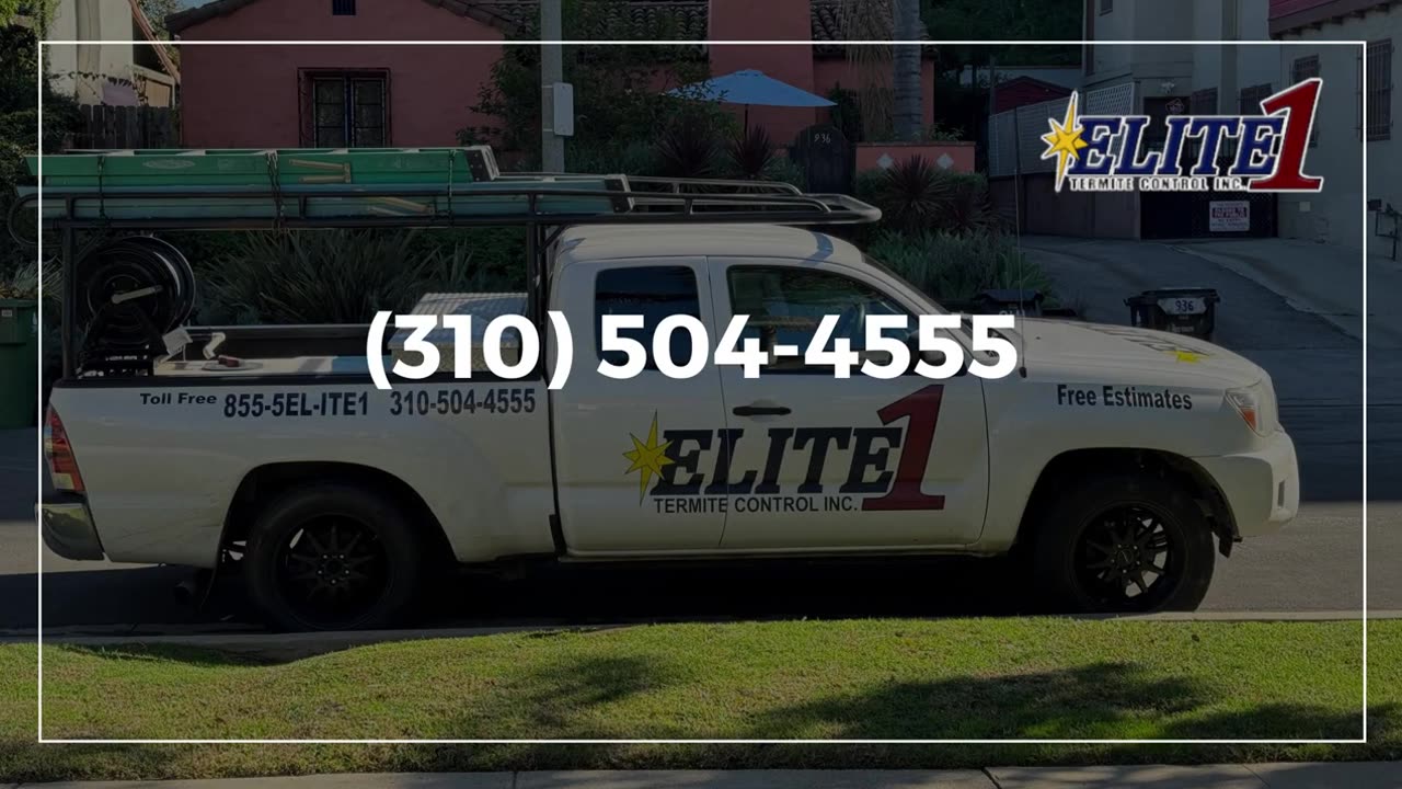 Termite control Beverly Hills * Call (310) 504-4555 | Elite1Termite Control