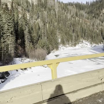 Alberta Bush Life 6x6 Commander