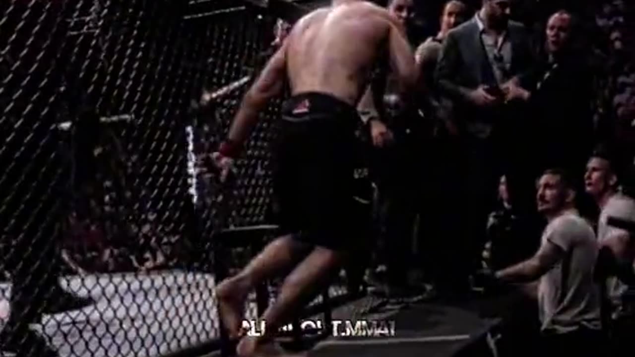 Khabib climbed over the cage and started fighting in audience