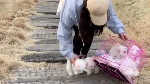 Cute little cat 😸😸😺😺