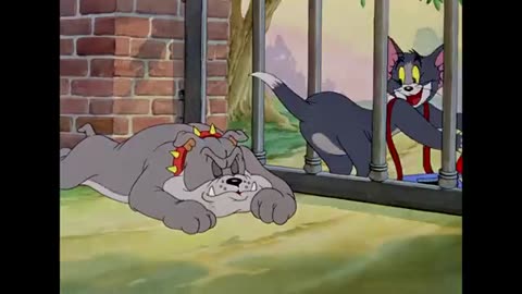 Tom & Jerry | A Bit of Fresh Air | Classic Cartoon Compilation