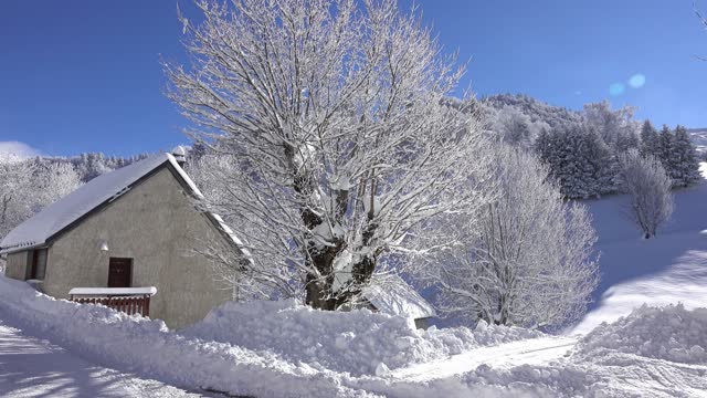 OMG! Snowfall around us make a perfect scene...