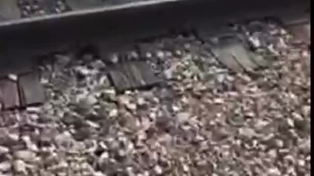 Crushing coins with a surprise result