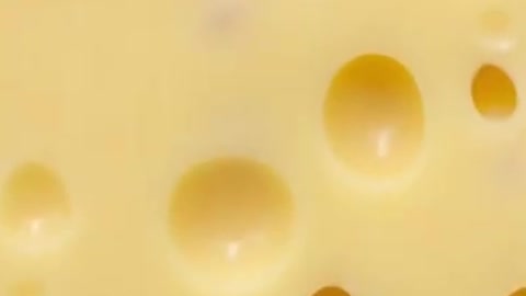 Why Cheese Has Holes Of Different Sizes_ #shorts