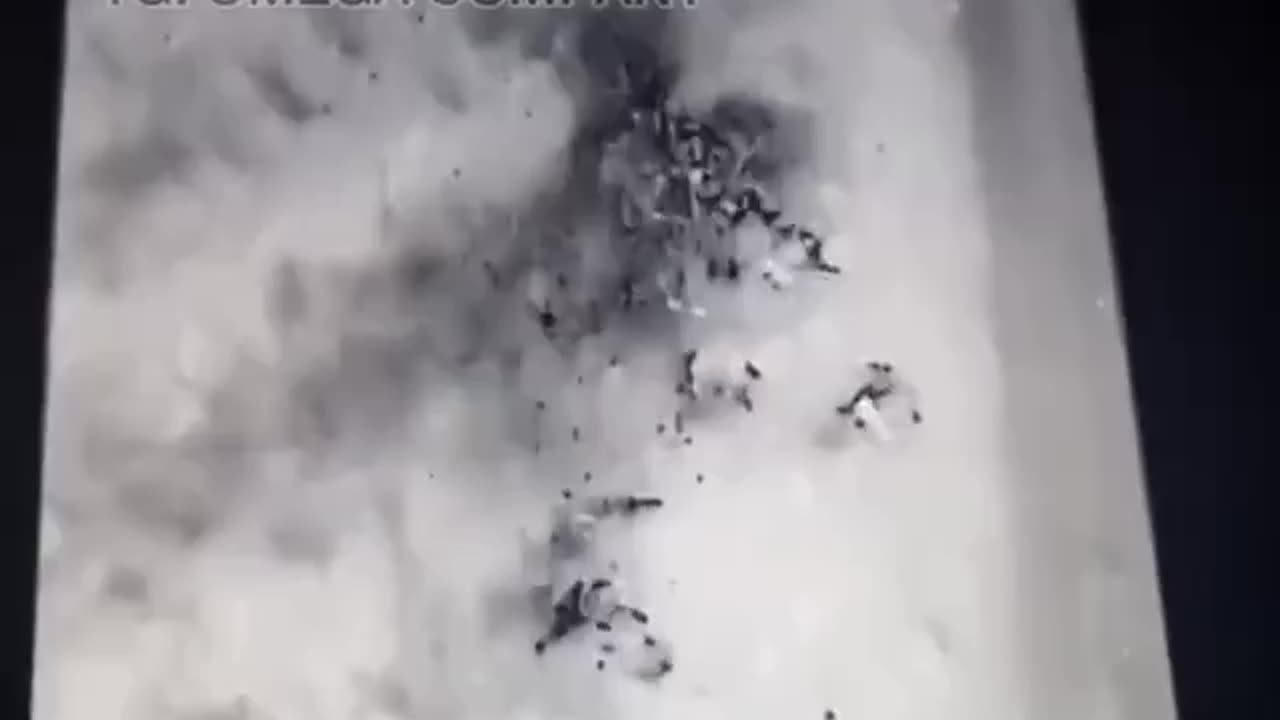 Dropping Bombs on a Dozen Russian Soldiers