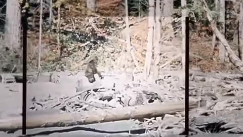 Bigfoot