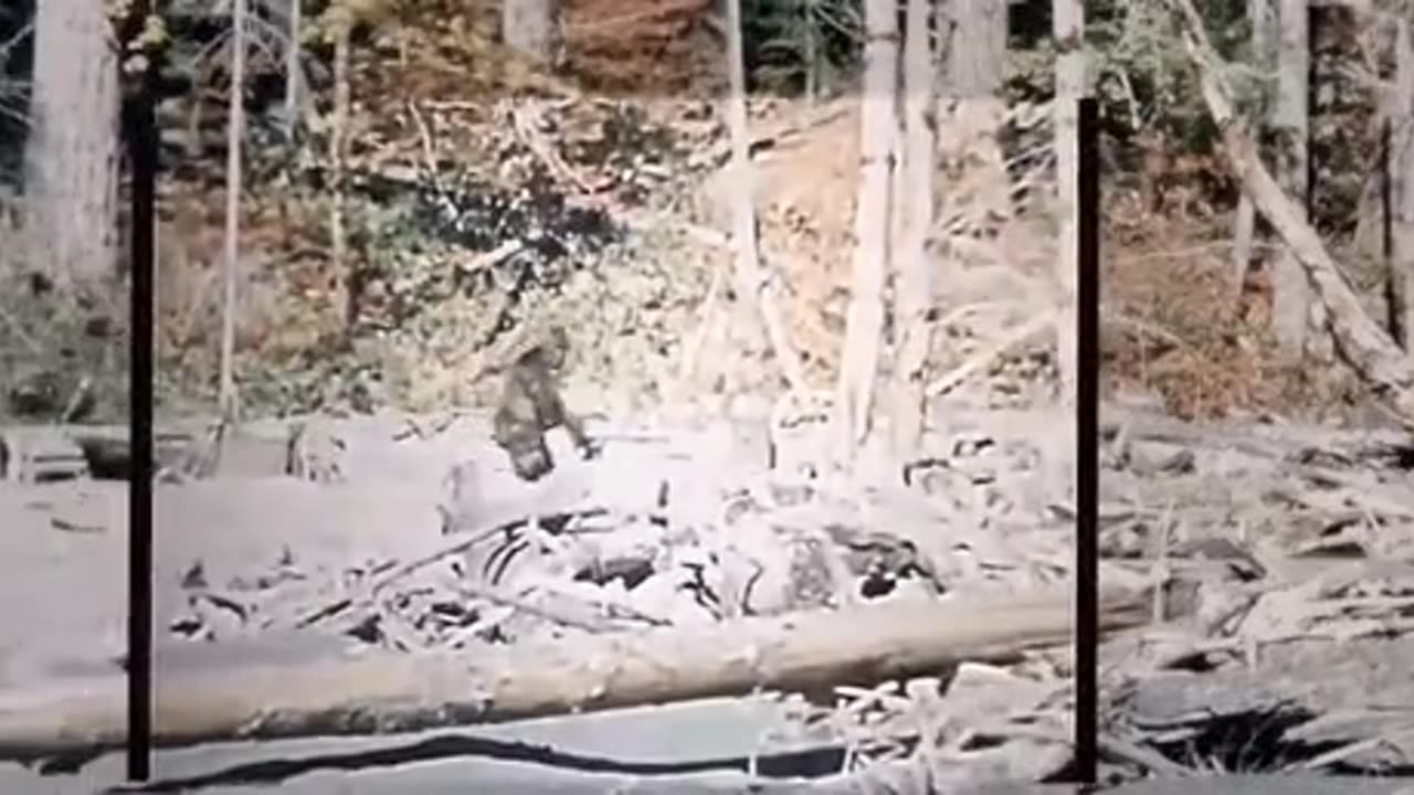 Bigfoot