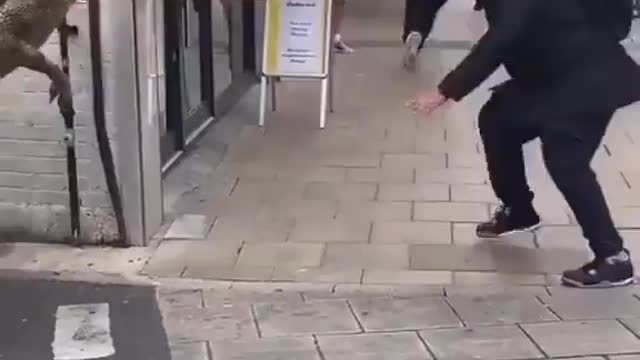 ONE OF THE BEST PRANKS EVER!😂