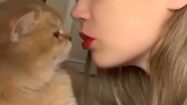 Cat wants to kiss her - lovely cat