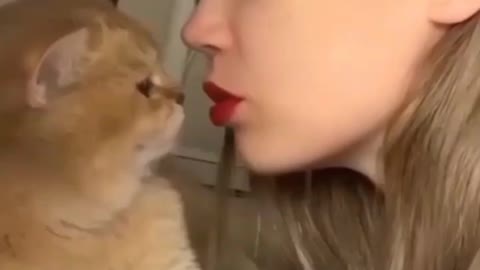 Cat wants to kiss her - lovely cat