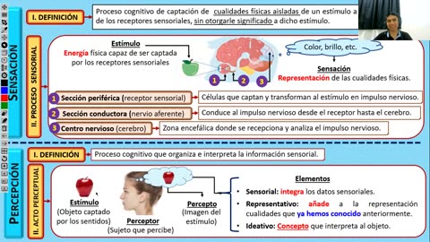 SEMESTRAL ADUNI 2024 | Semana 04 | Psicología | Lenguaje | Geometría