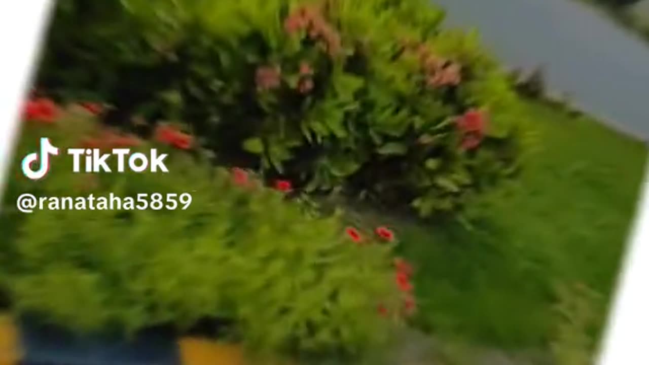 Eyneyny