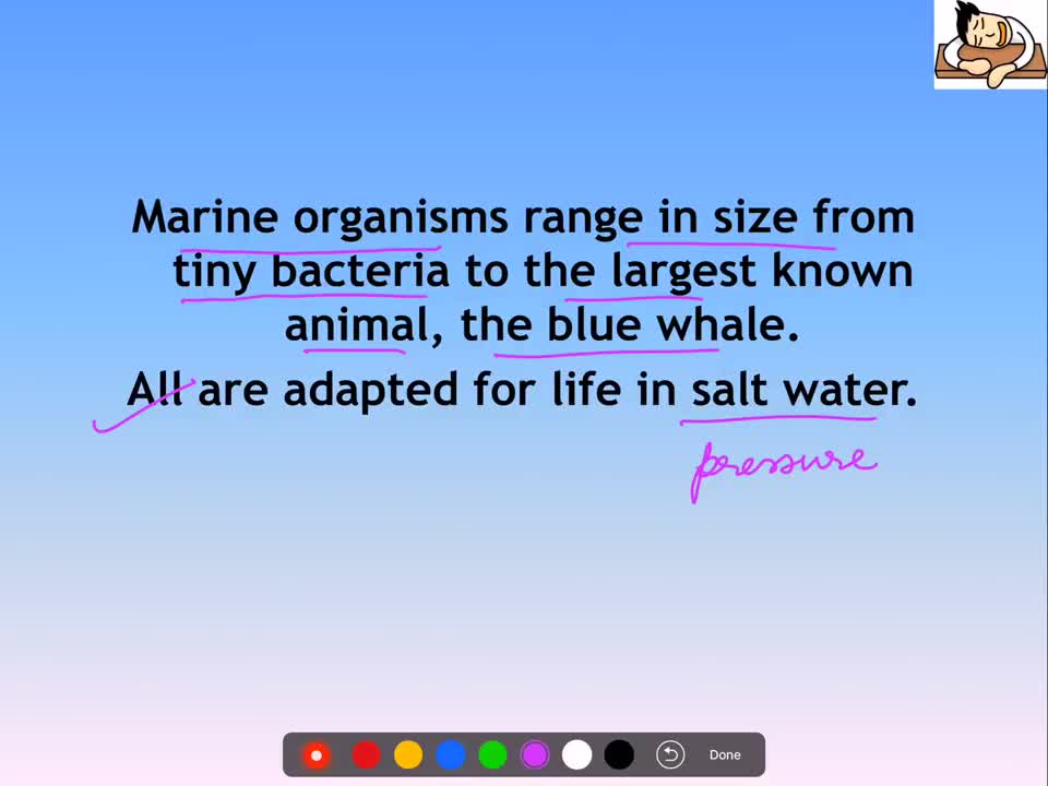 Environment and Ecology Lecture 9.1 - Marine Organisms