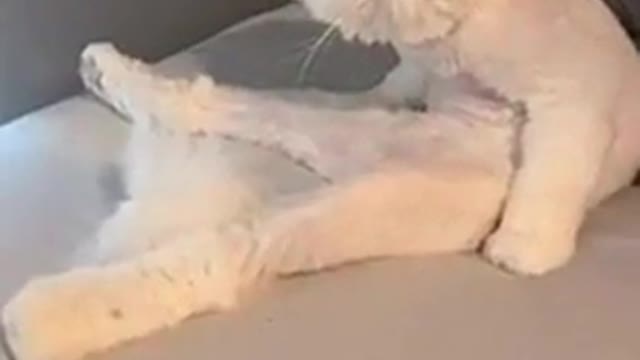 Can I help u w something