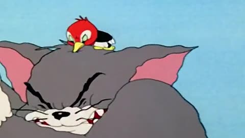 Tom and Jerry cartoon