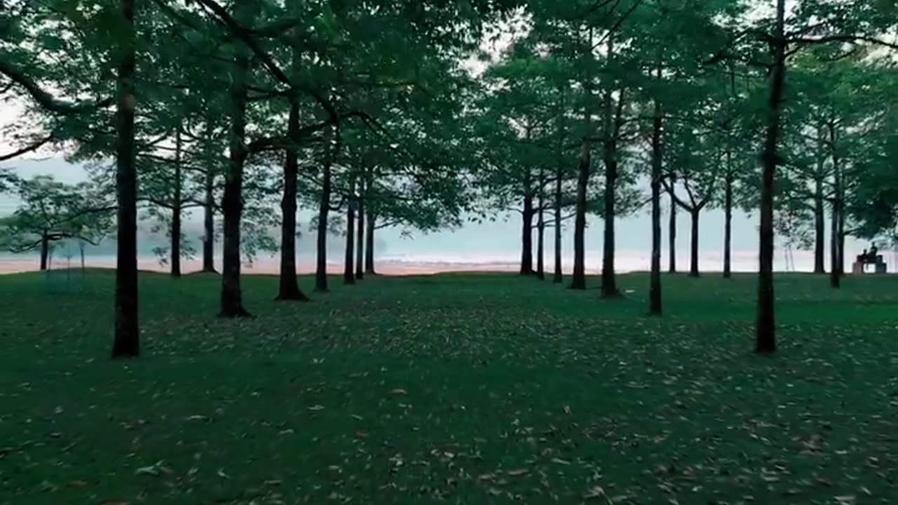 Beautiful shahid siraj lake ( Niladri lake) Beautiful shahid siraj lake ( Niladri lake)