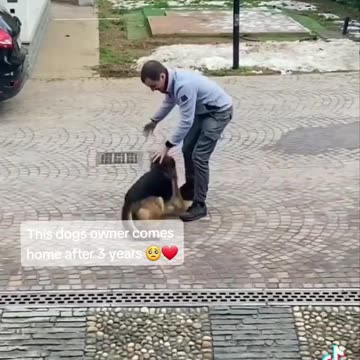 I'm not crying, you're 😭