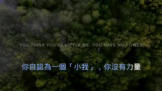 David Icke , 英國作家，在這全球混亂的情況下帶來了正能量。