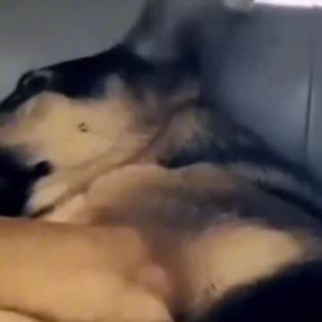 "Unraveling the Mystery: Why Am I Always Itching? 😂😅🔍"