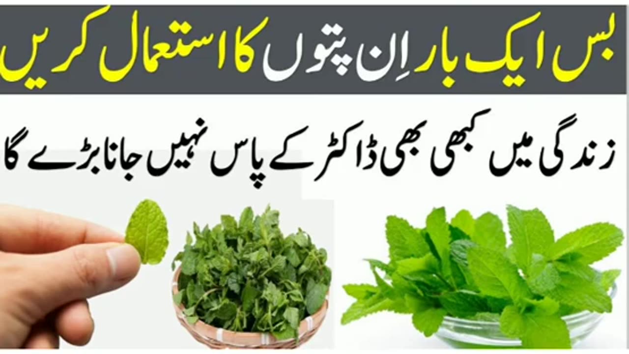 #pudnekichatni #pudinekpani #pudinek pani ky fayde #malik ijtiba پودینے کے فوائد اور بماریوں سے بچاو
