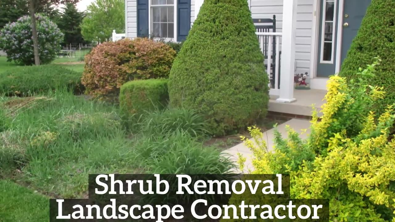 Landscape Mercersburg Pennsylvania Shrub Removal