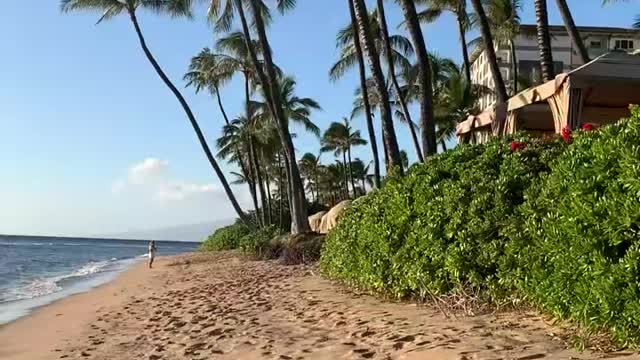 Hawaii beach