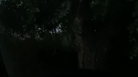 New city new dog park. Should have recorded it