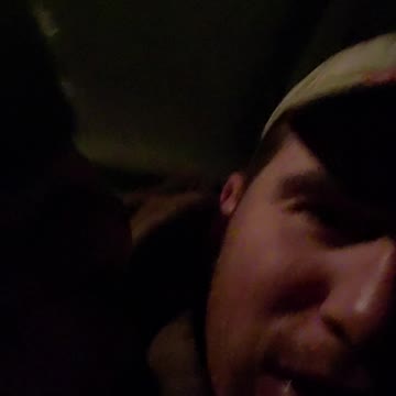 This kitten tried to hijack my vehicle