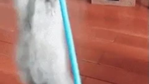 You hurt me right here, in my purr