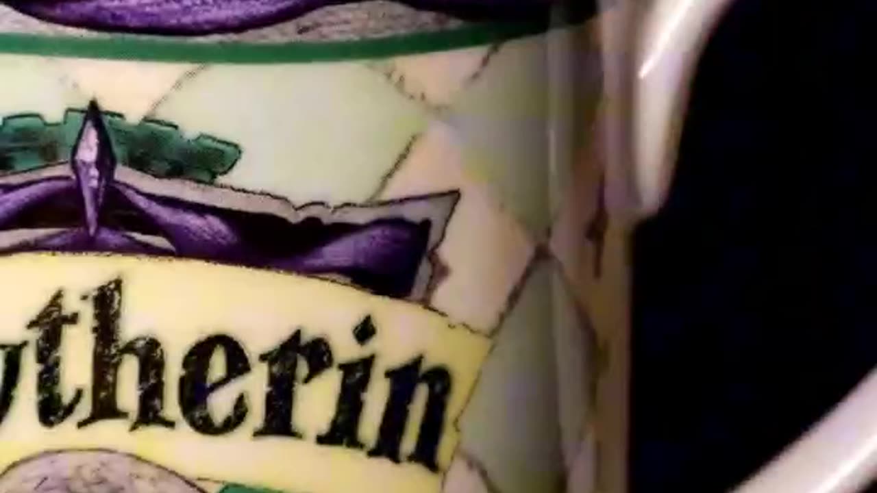 Quick Look: Vintage Royal Doulton Slytherin Mug #harrypotter #wizardingworld #slytherin #vintage