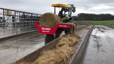 Feedlot feeder