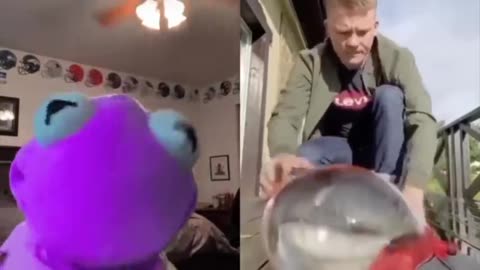 FUNNY VIDEOS