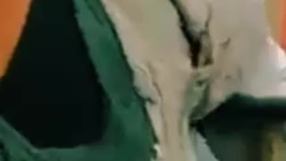 Peanut butter ‘thief’ beaten to a pulp