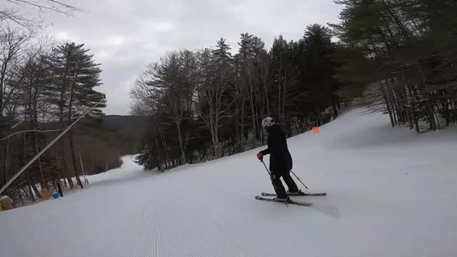 Downhill Skiing