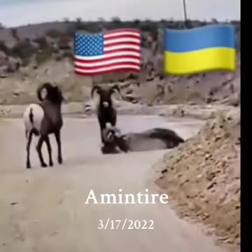 WHAT`S UP AMERICA - YOU AIN`T GONNA DO SHIT