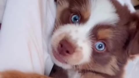 Answer Remember this