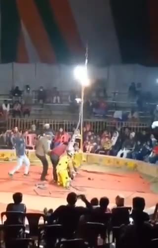 Acróbata se ahorcó en vivo