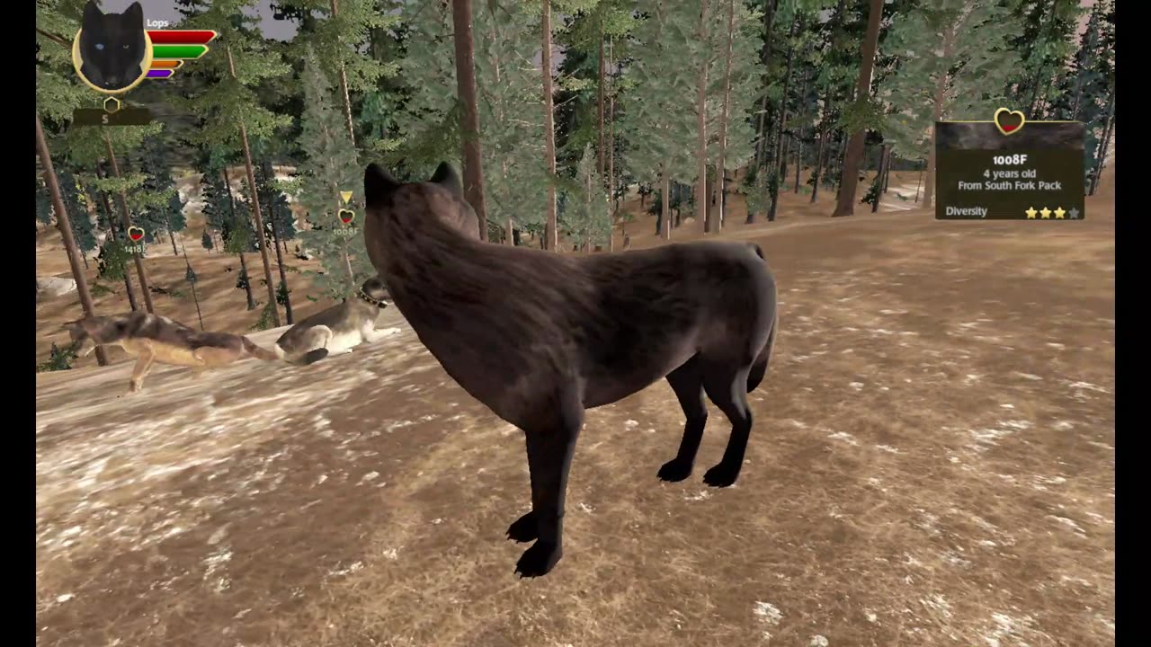 WolfQuest persistant packs update 01