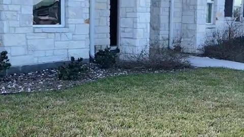 home improvement