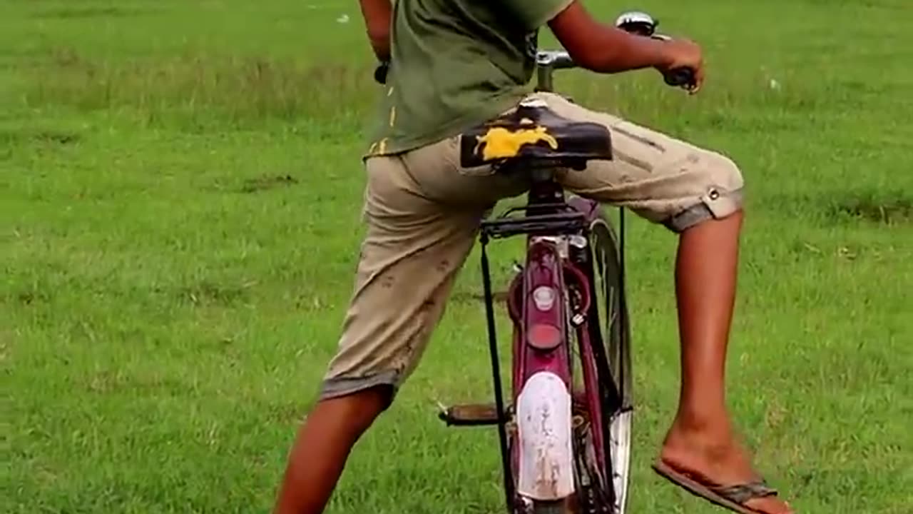 amazing funny short video