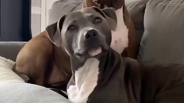 I need to go to grandmas house (