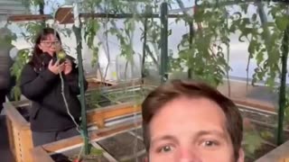 Using heat from Bitcoin mining to heat a greenhouse.