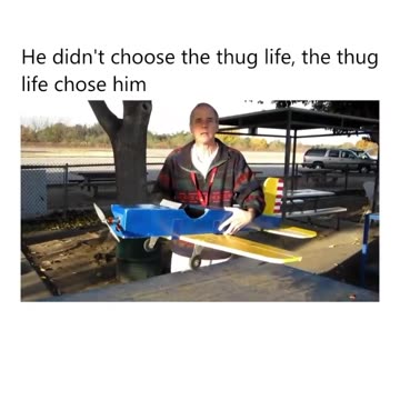 "Whisking Through the Skies: The Daring Adventure of a Helicopter-Flying Squirrel"